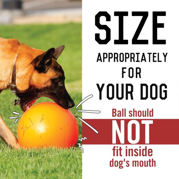 Virtually Indestructible Best Ball for Dogs, 10-inch - Picture 4 of 8